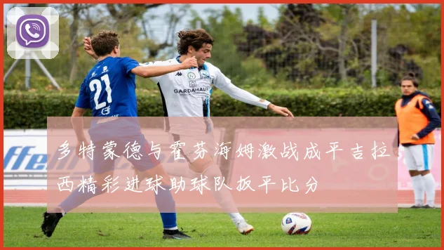 多特蒙德与霍芬海姆激战成平吉拉西精彩进球助球队扳平比分